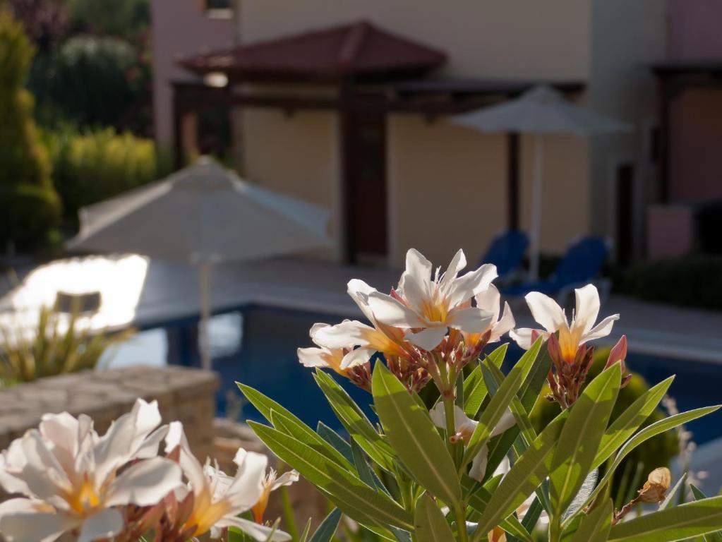Eligia Villas Mixorrouma Phòng bức ảnh